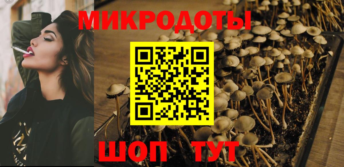 Реутов  сколько стоит  Вход с VPN  Галлюциногенные грибы Psilocybine cubensis  Галлюциногенные грибы мухоморы 